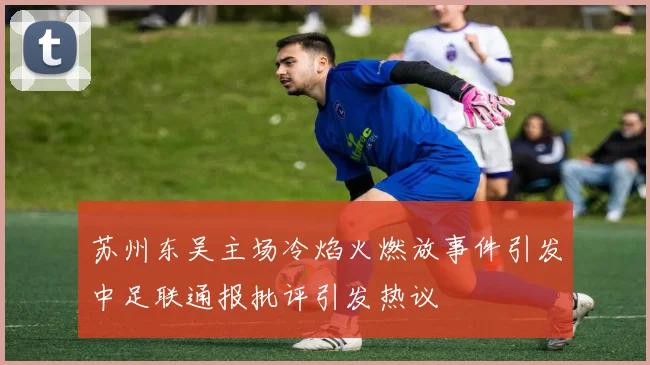 苏州东吴主场冷焰火燃放事件引发中足联通报批评引发热议